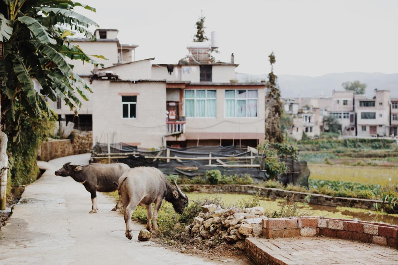 The Twelve Manor•Terraces Lodge Yuanyang  Bagian luar foto